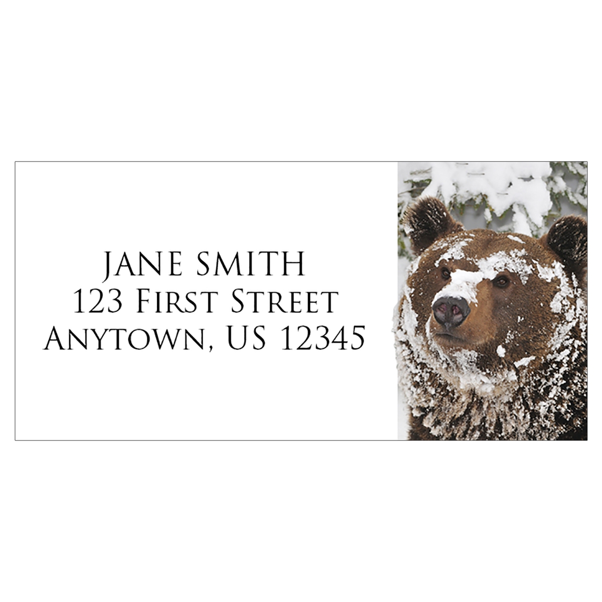 Curious Grizzly Cub Address Label