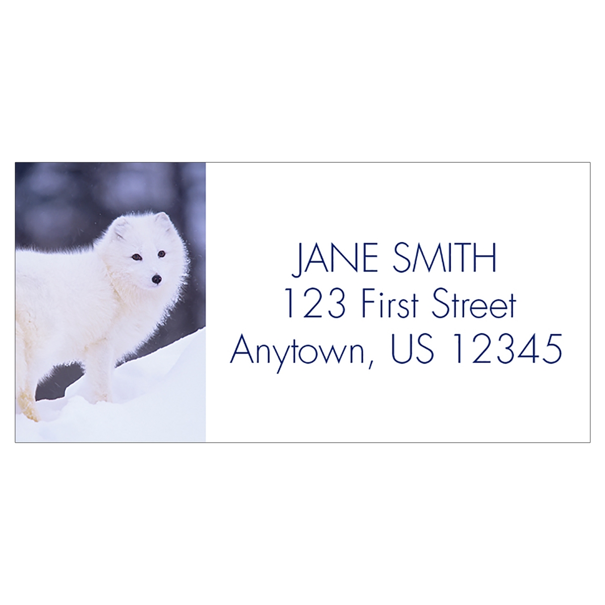 Peaceful Arctic Fox Address Label