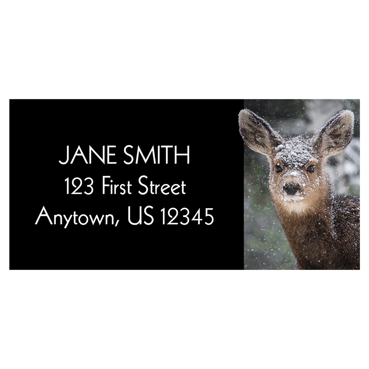 Fawn In Snow Address Label