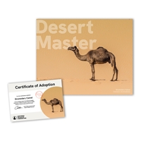 Adopt a Dromedary Camel - CAML25