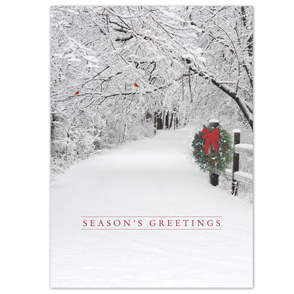 Snowy Lane Holiday Cards