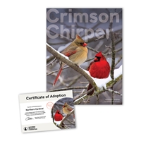 Adopt a Northern Cardinal - CDNL25