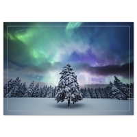 Northern Lights Tree Holiday Cards