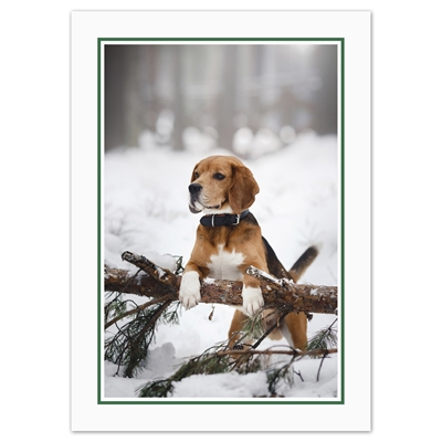 Holiday Beagle Holiday Cards