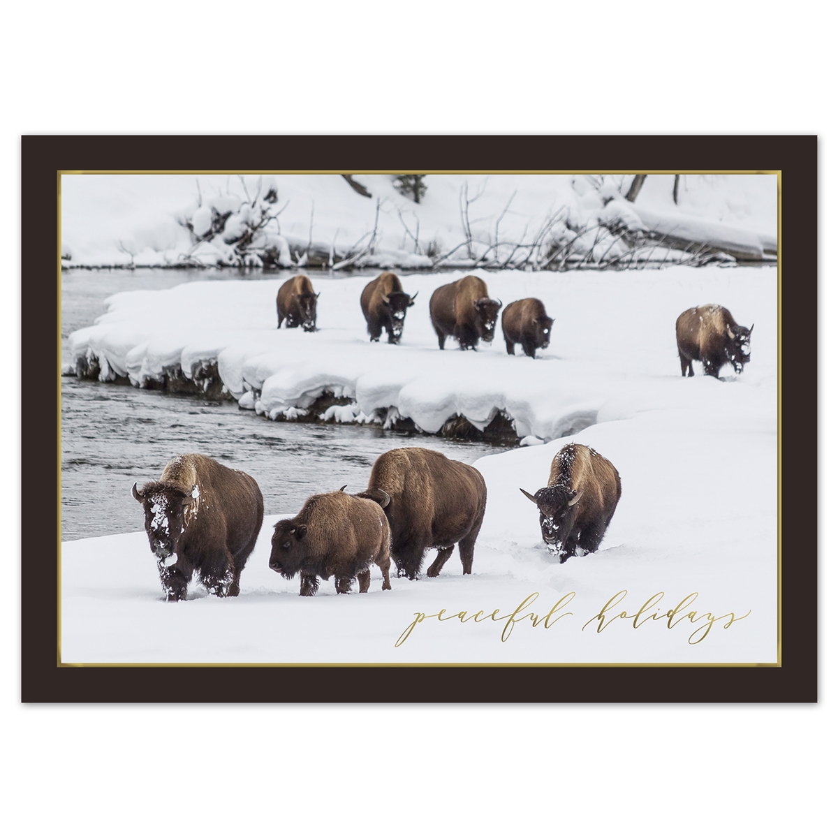 Winter Bison Card