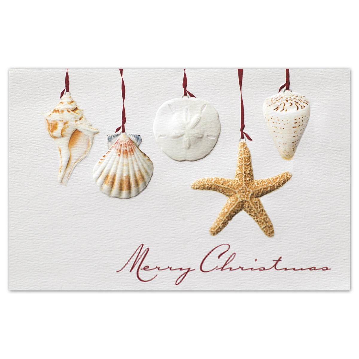 Sea Shells Card