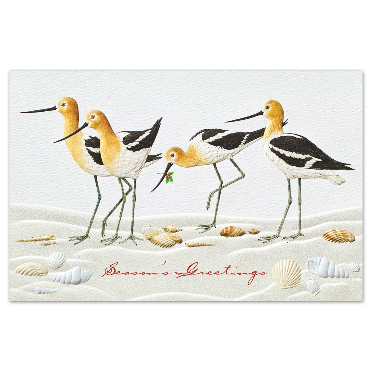 Joyful Avocets Card