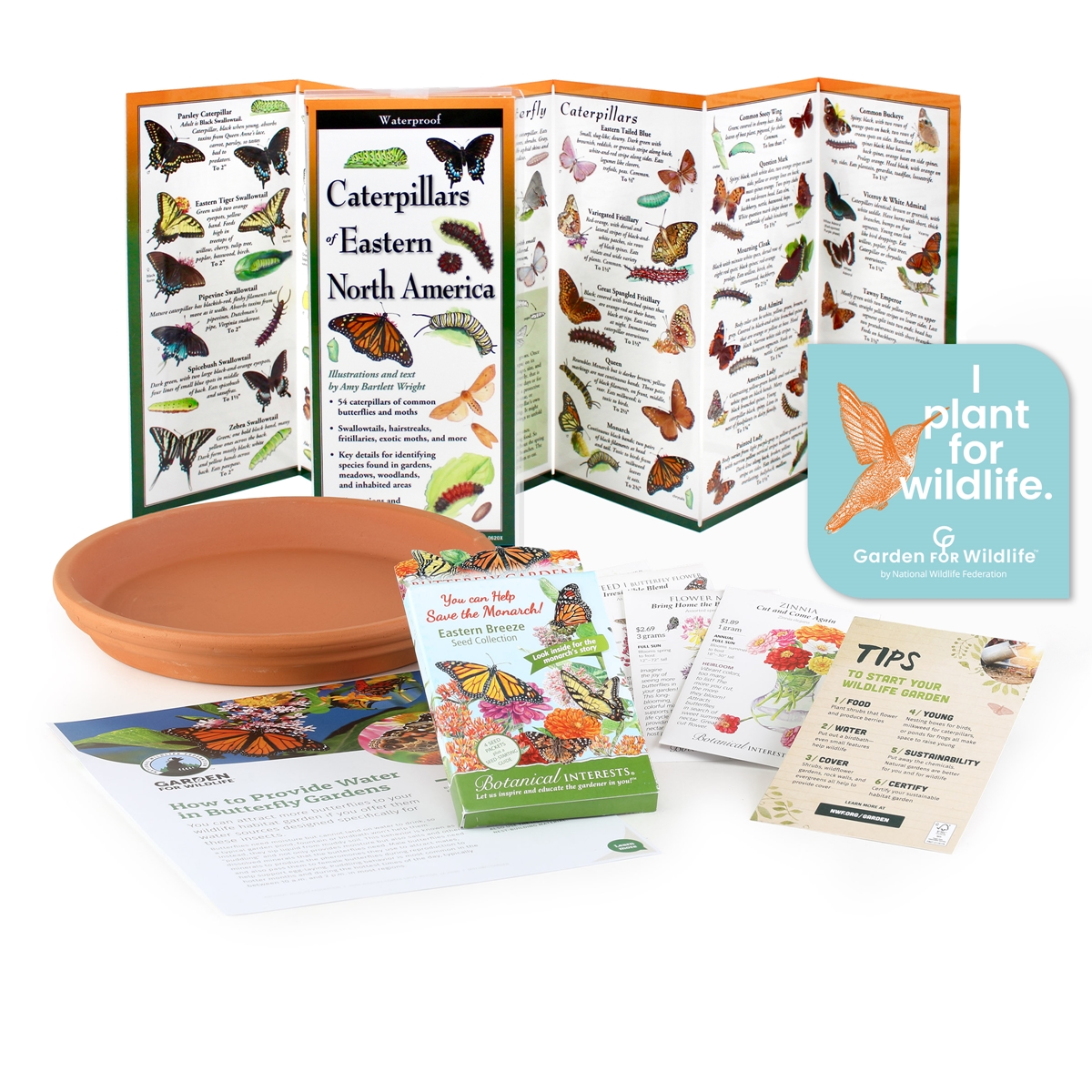 Eastern Breeze Butterfly Kit