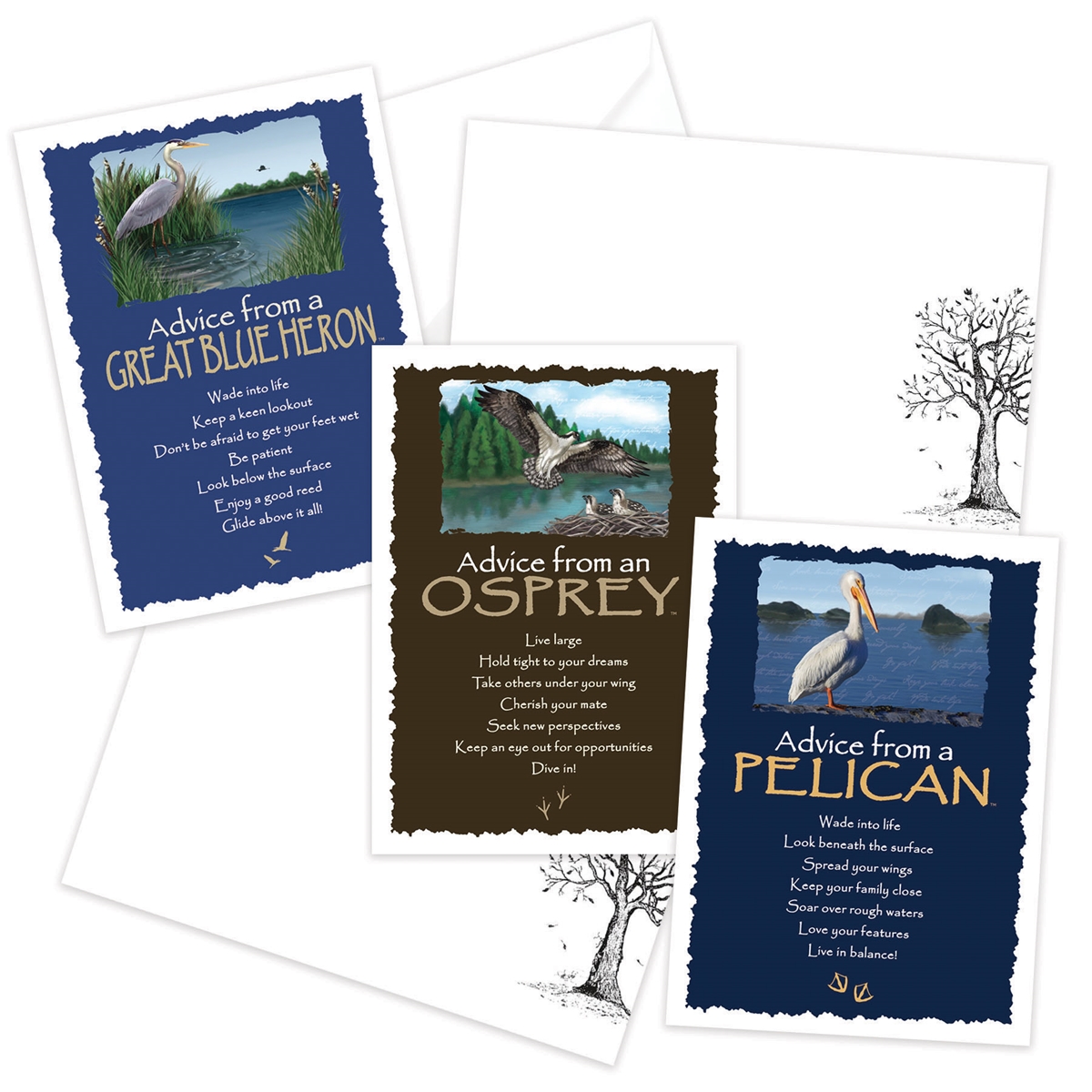 Advice from the Great Blue Heron, Osprey and Pelican Greeting Cards