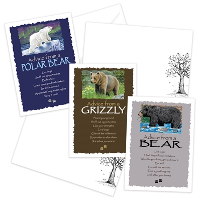 Advice from the Bear, Grizzly and Polar Bear Greeting Cards