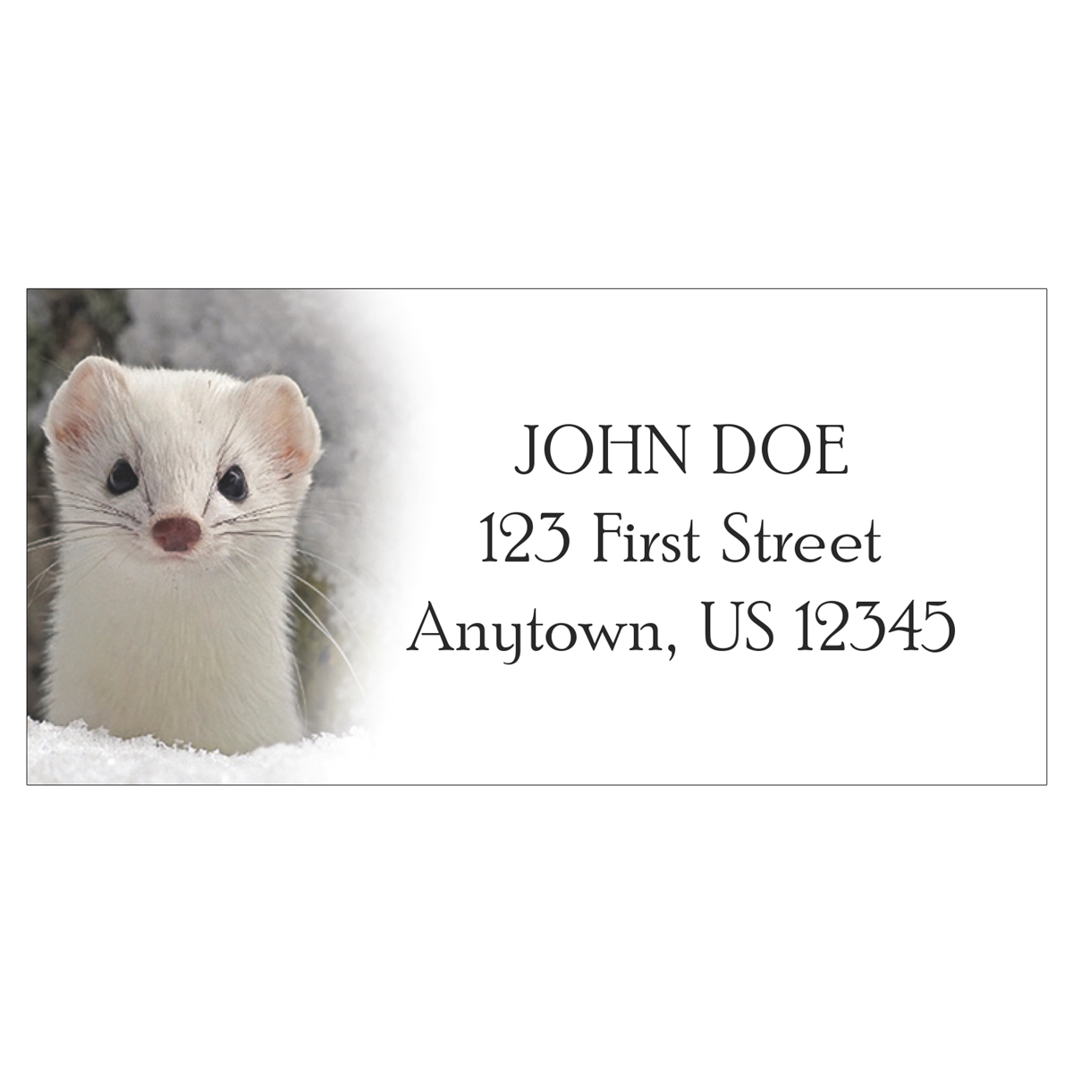 Ermine in Winter Coat Address Labels