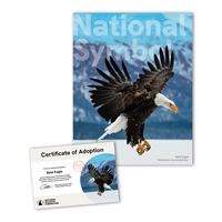 Adopt a Bald Eagle - EAGL25