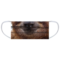 Sloth Face Mask