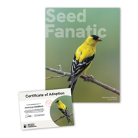 Adopt an American Goldfinch - GFCH25