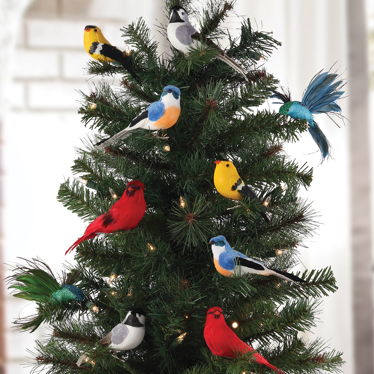 Songbird Clip Ornament Set