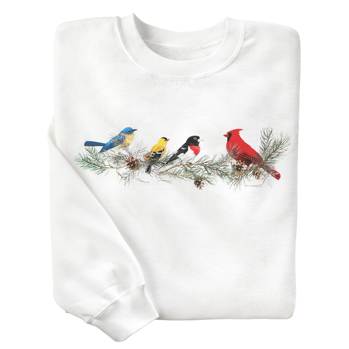 Songbirds Pullover