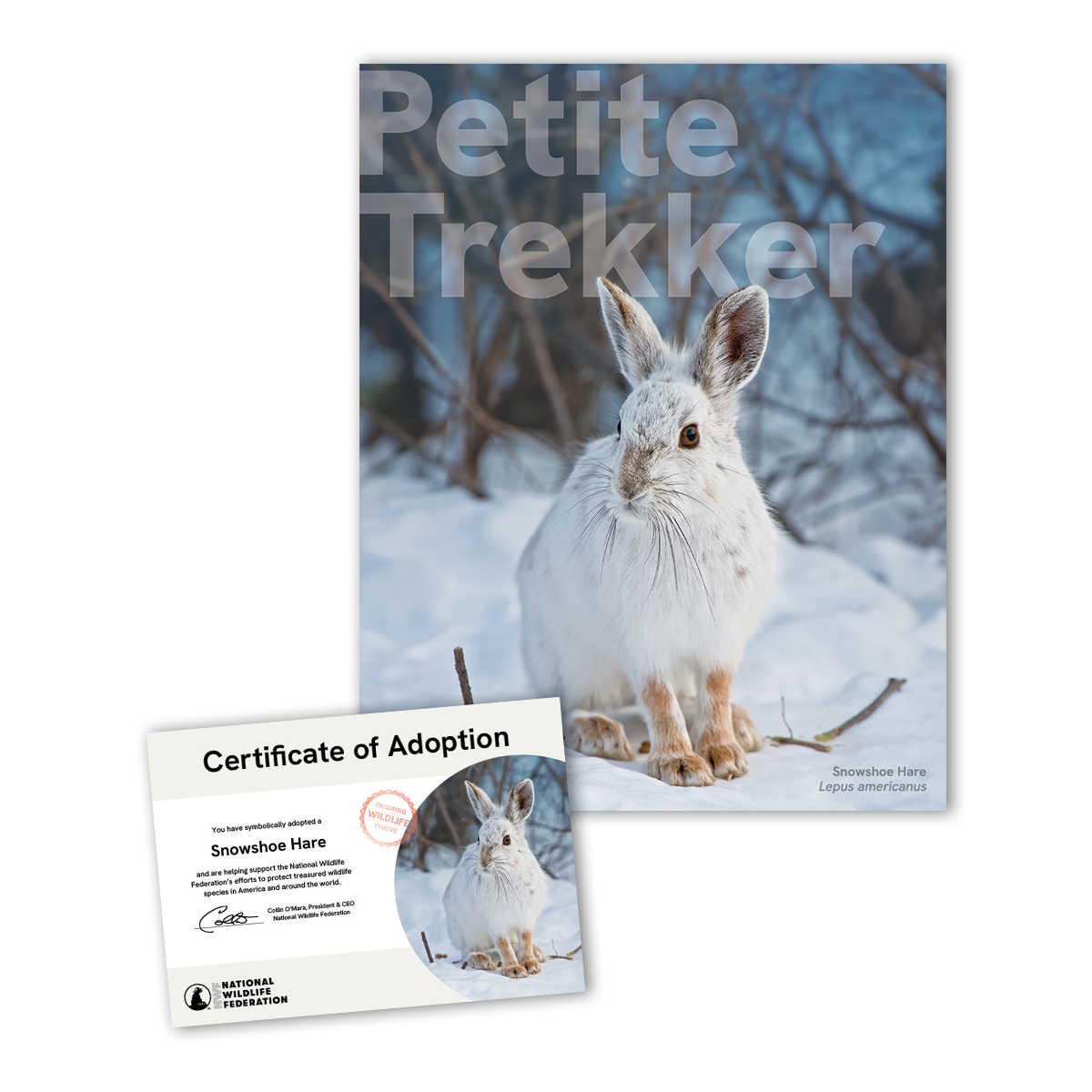 Adopt a Snowshoe Hare