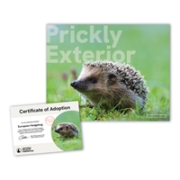 Adopt a European Hedgehog - HEHG25