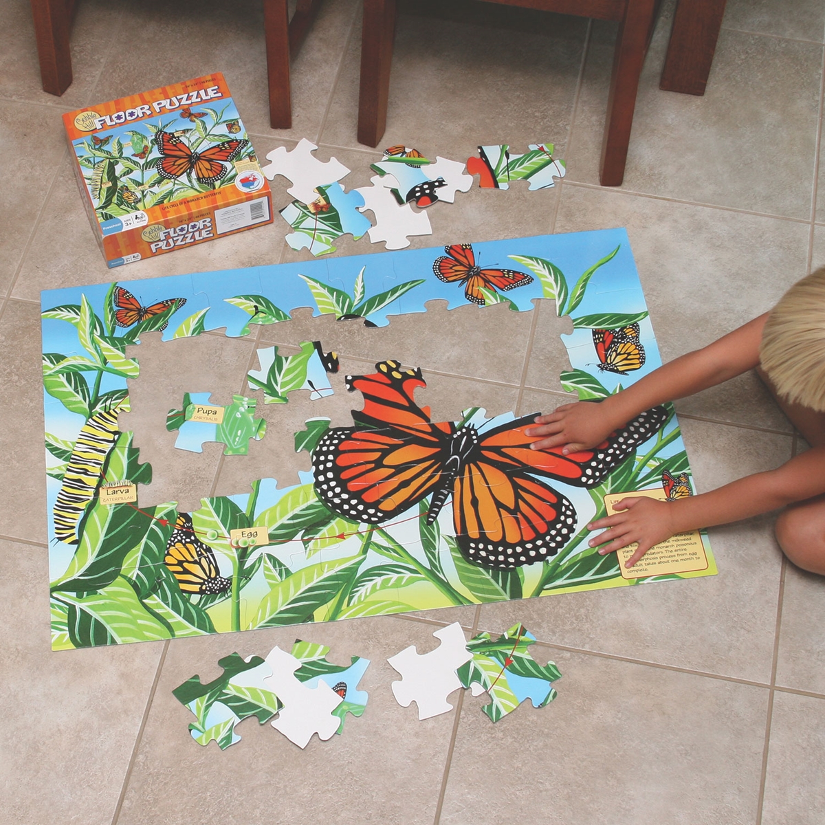Monarch Lifecycle Floor Puzzle