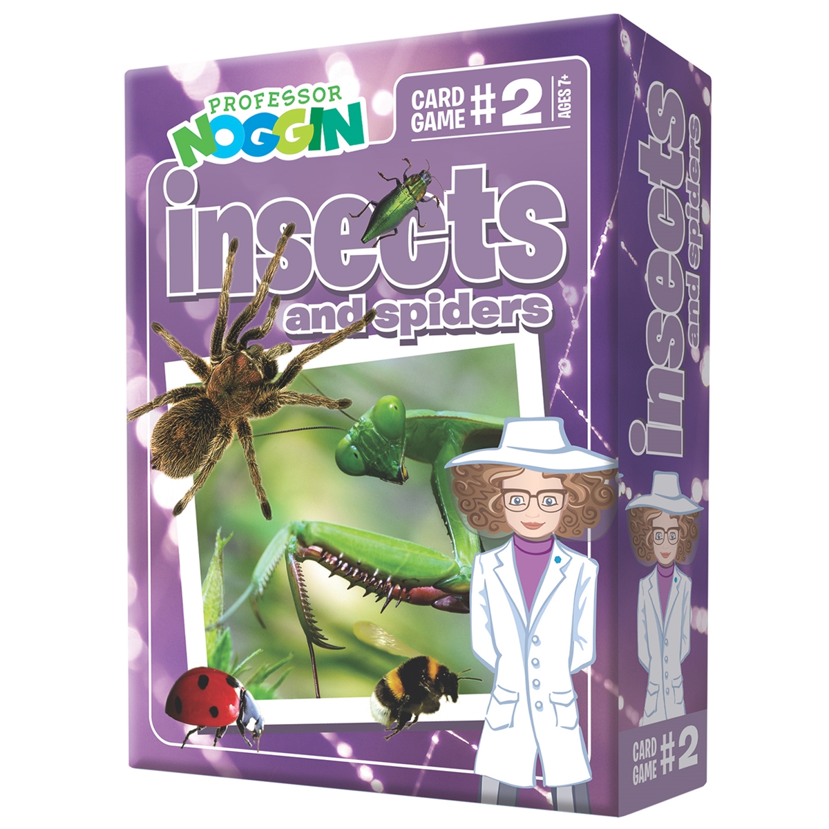 Professor Noggin - Insects and Spiders