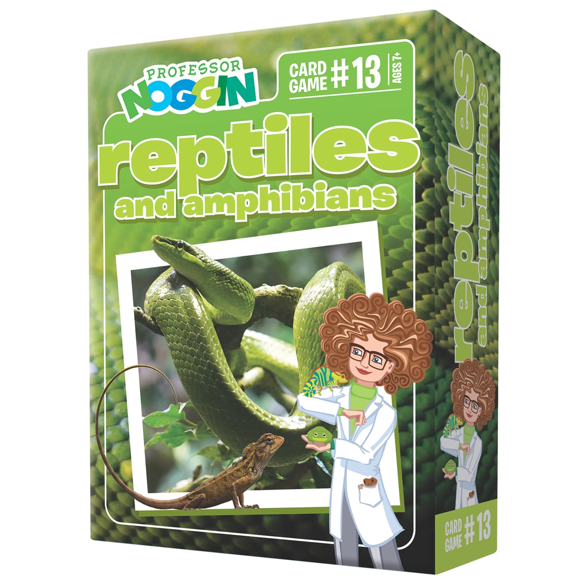 Professor Noggin - Reptiles and Amphibians
