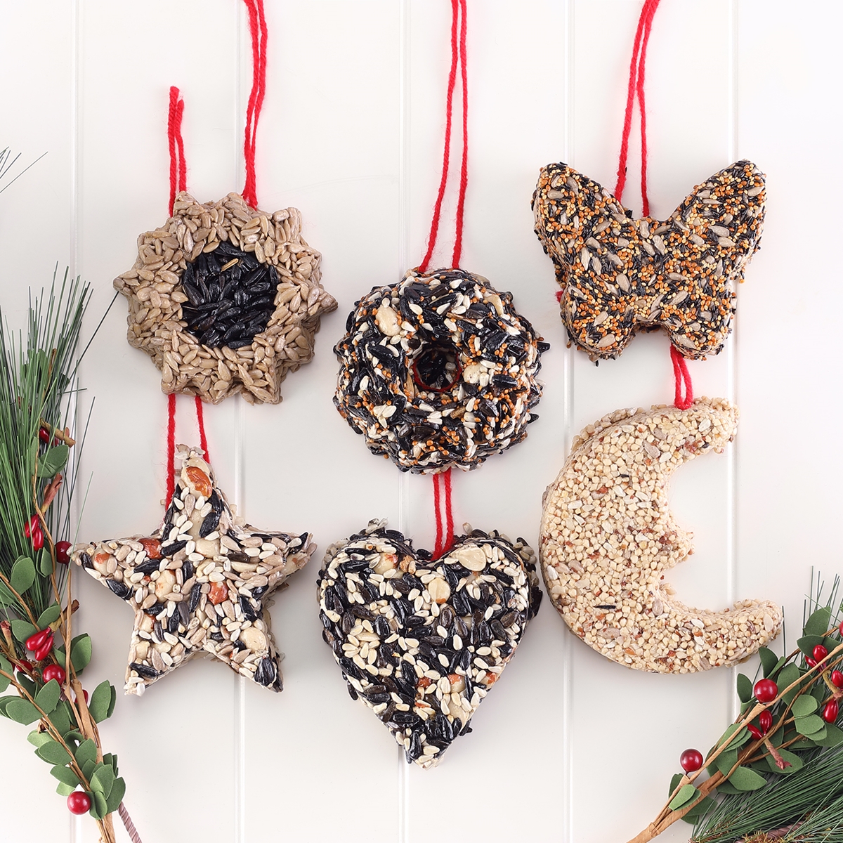 Bird Seed Ornament Set