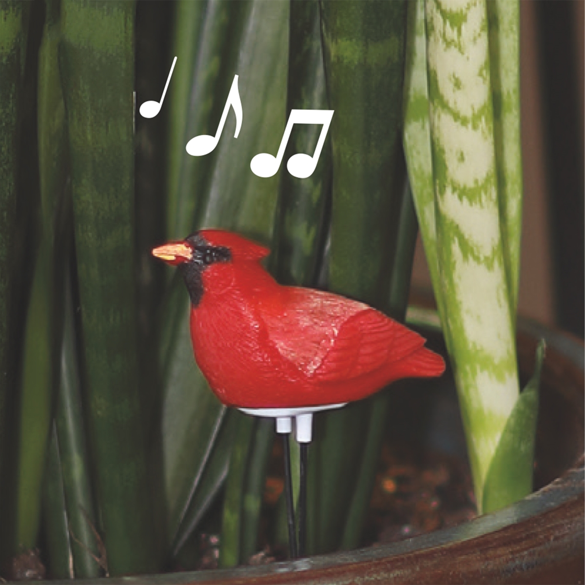 Cardinal Moisture Meter