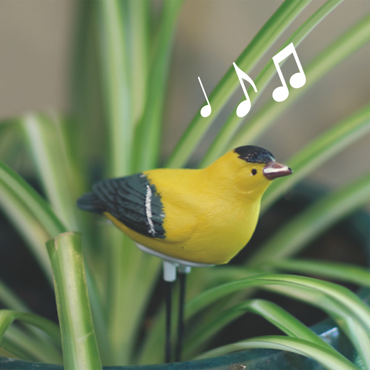 Goldfinch Moisture Meter
