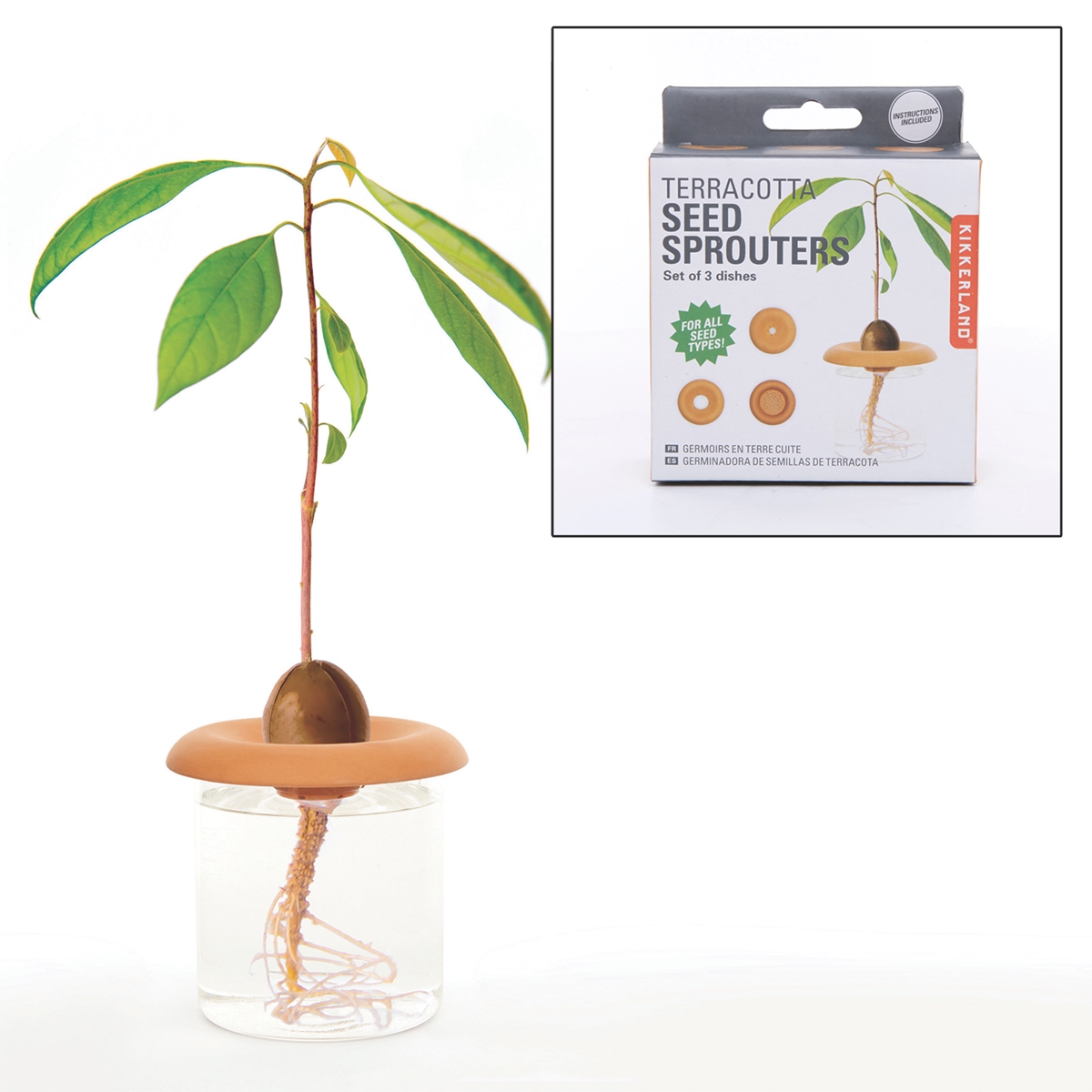 Terracotta Seed Sprouters
