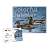 Adopt a Mallard - MLRD25