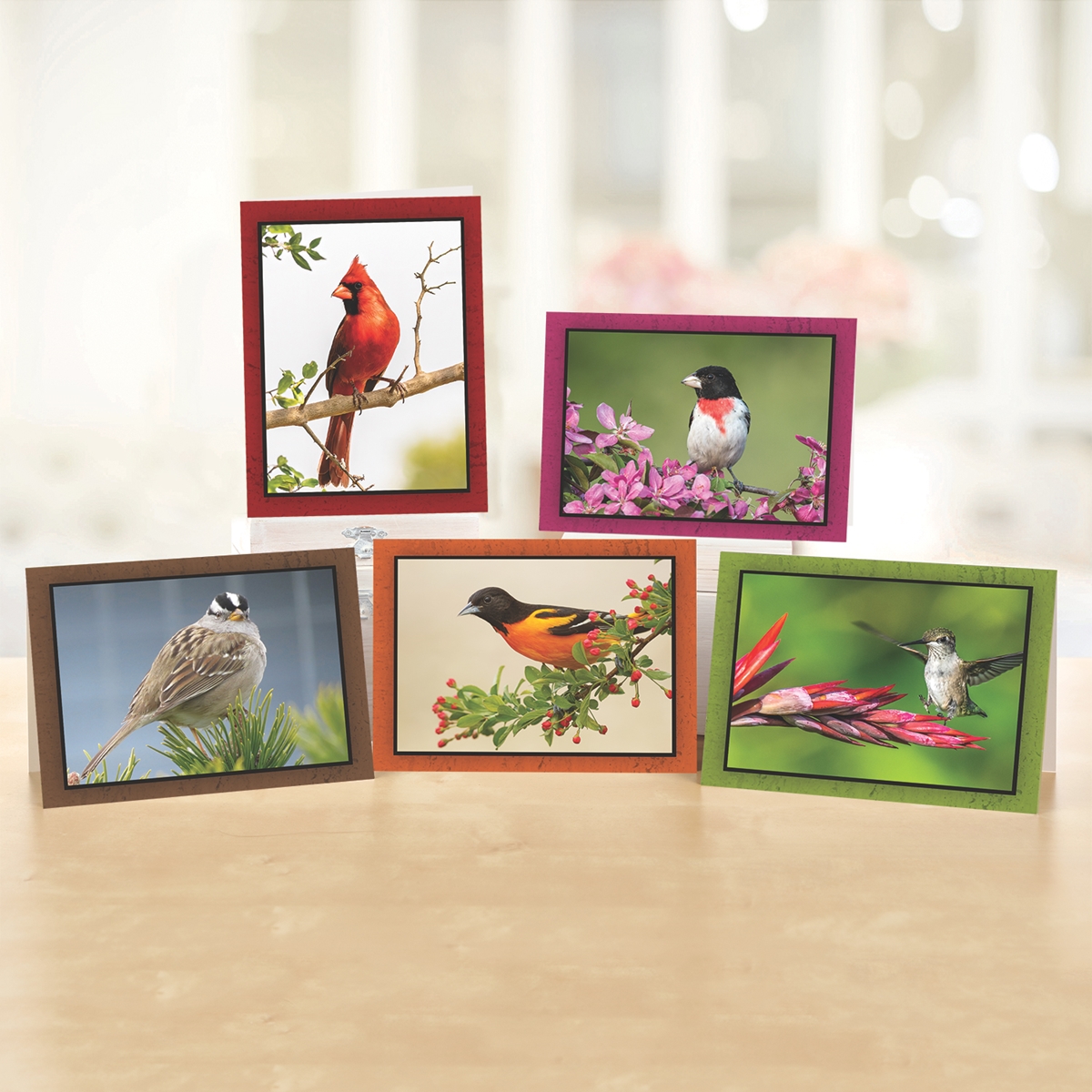 Brilliant Birds Note Card Assortment