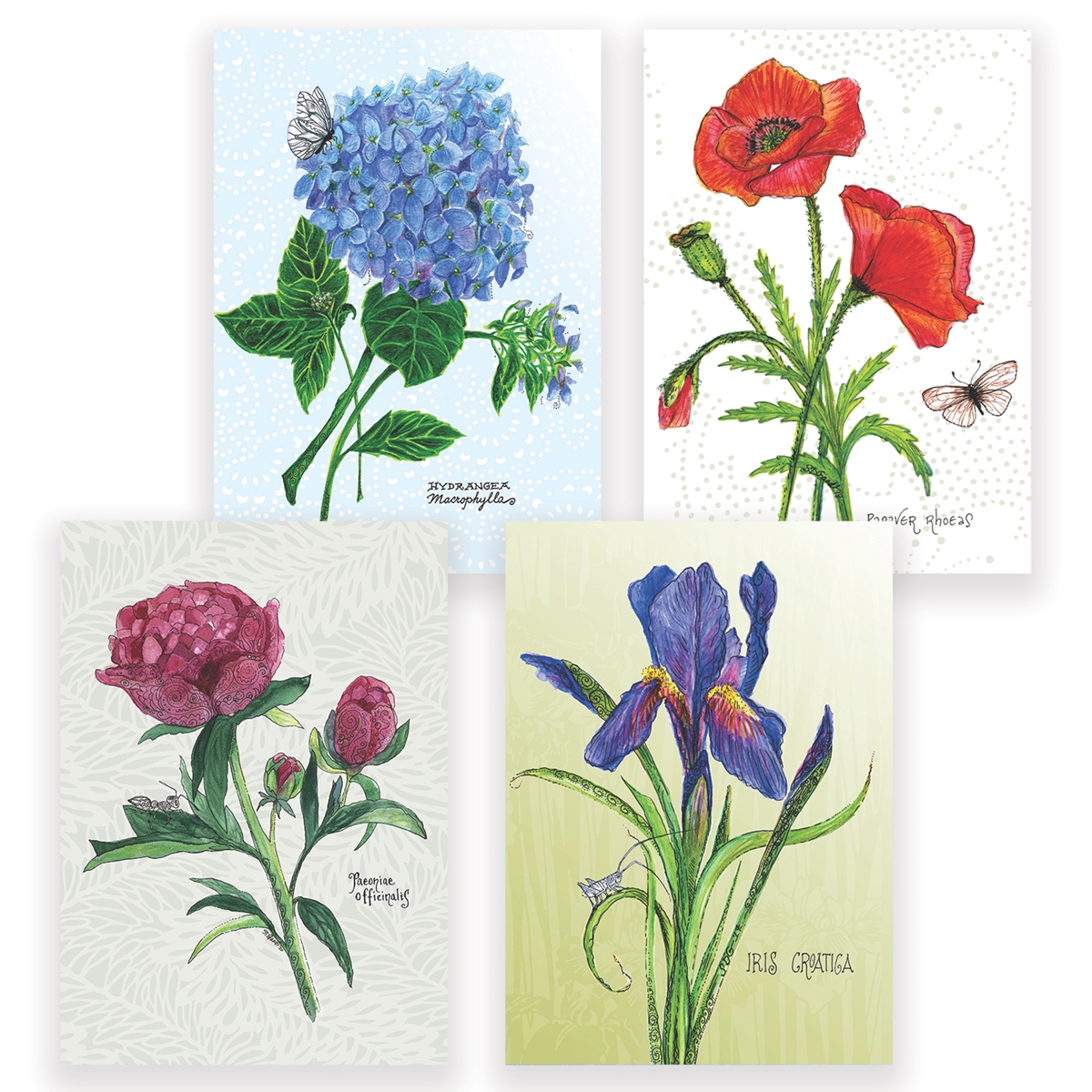 Botanical Assortment Card Set