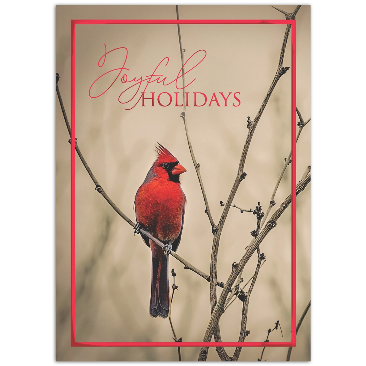 Cardinal in Winter Card