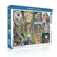 Owls and Owlets Puzzle - 820052