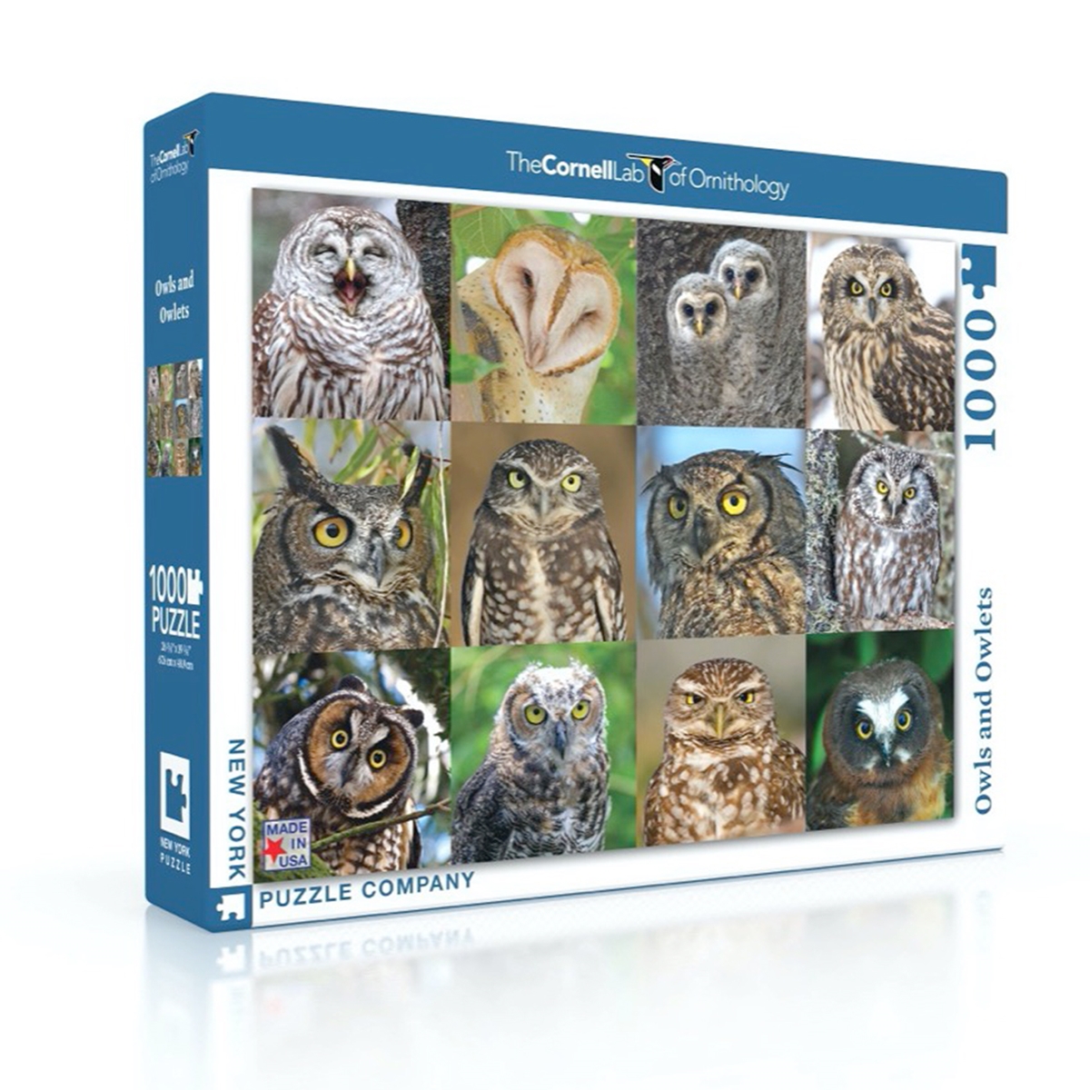 Owls and Owlets Puzzle