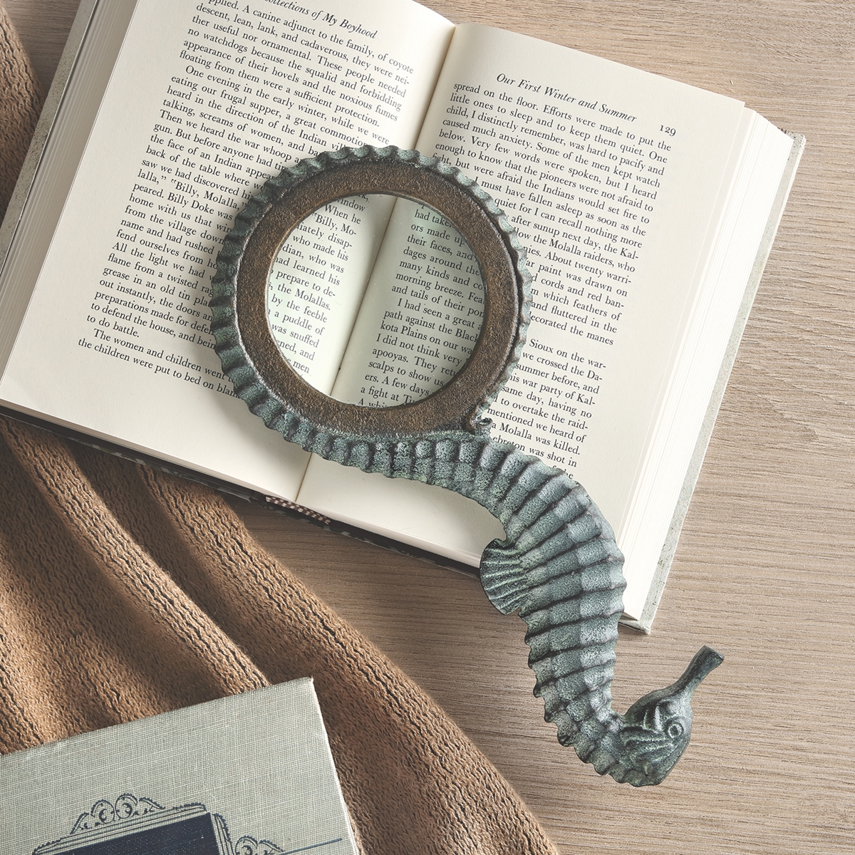Seahorse Magnifier