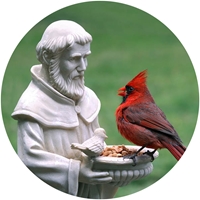 St. Francis and The Cardinal Envelope Seals