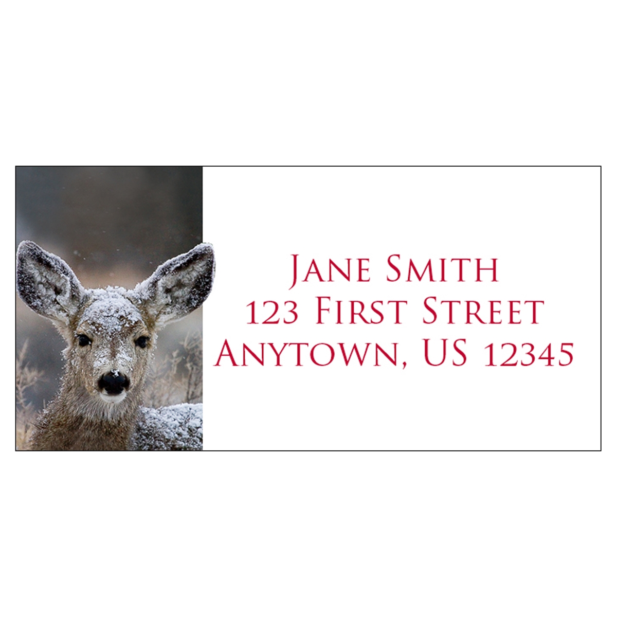 Stare Down Address Label