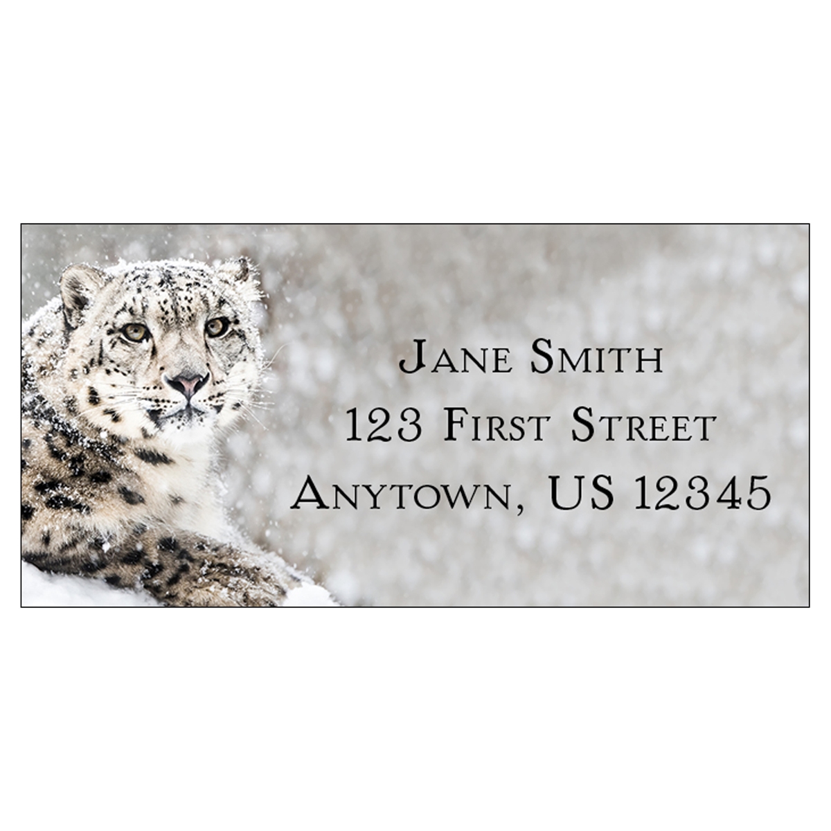 Snow Leopard Address Label