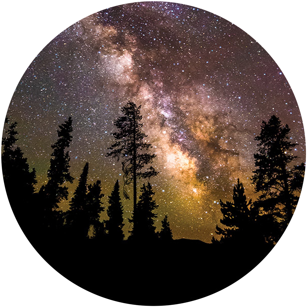 Milky Way Over Trees Envelope Seal