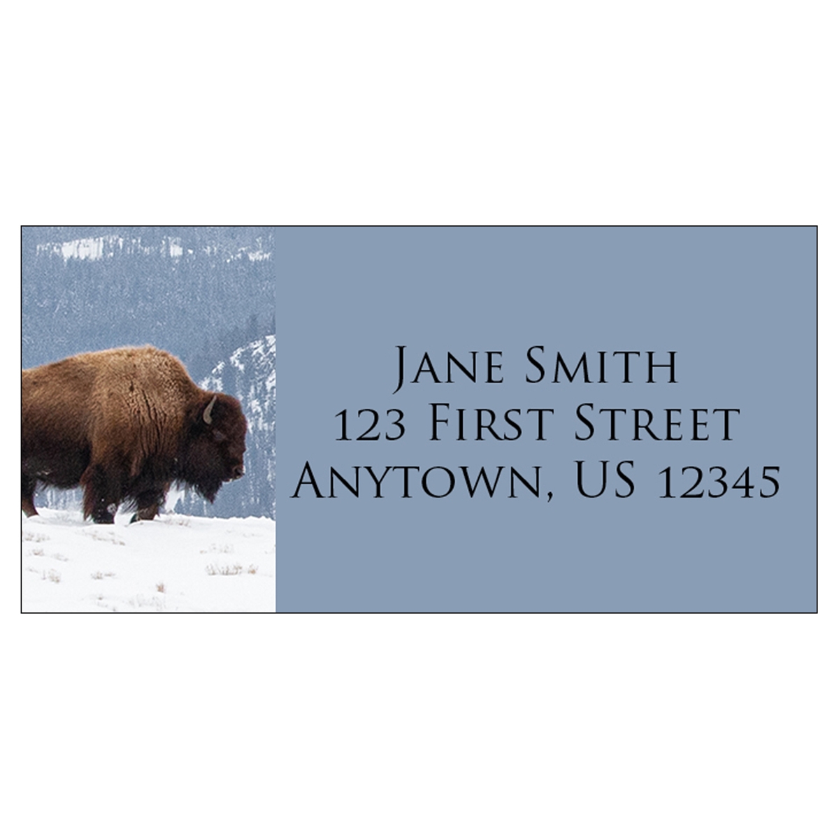 Bison in the Snow Address Label