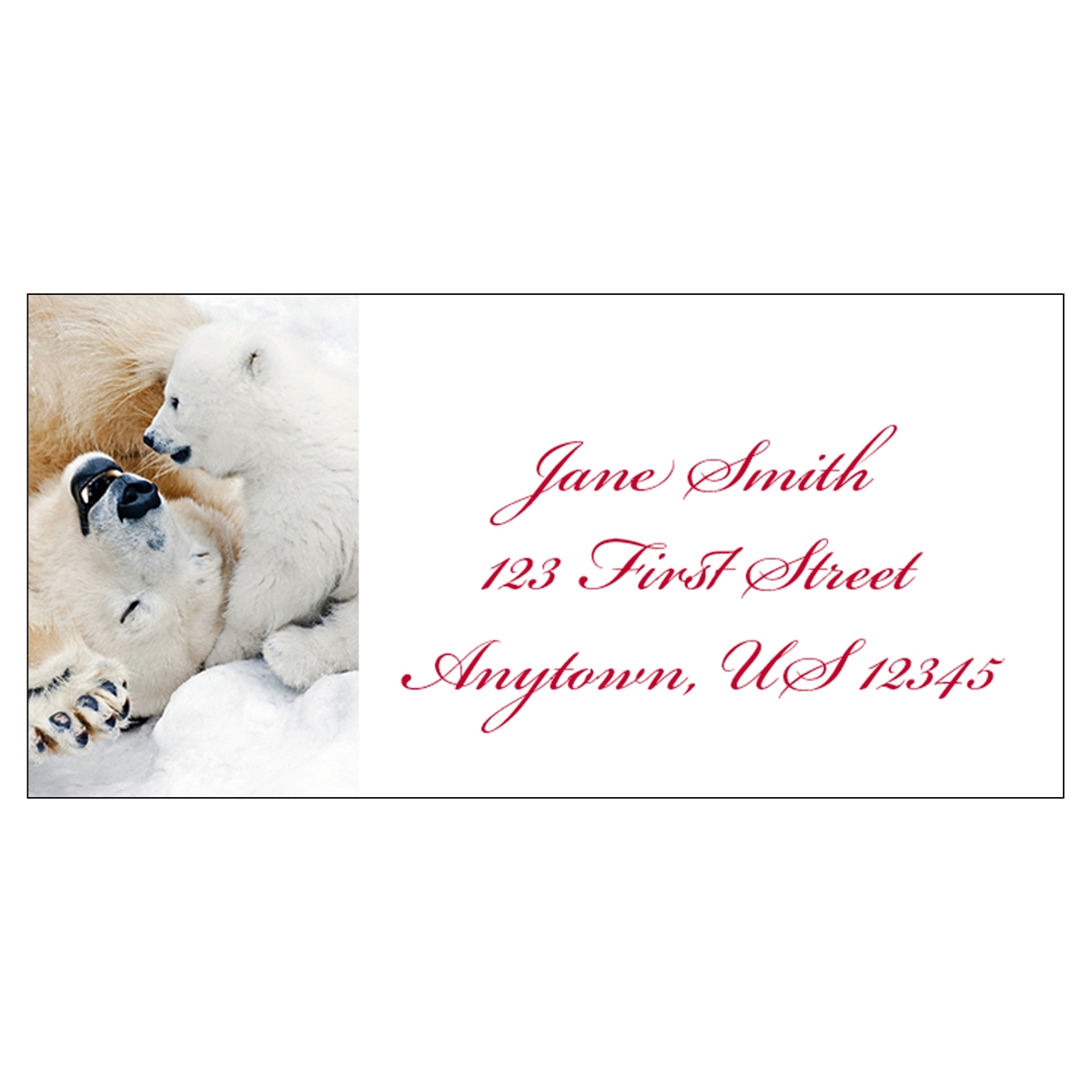 Polar Bear Play Address Label