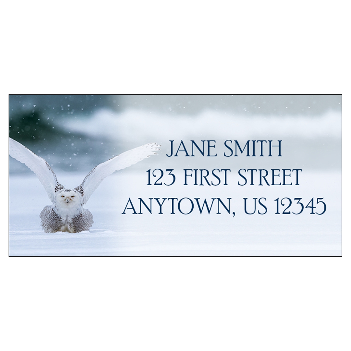 Snowy Owl Address Label
