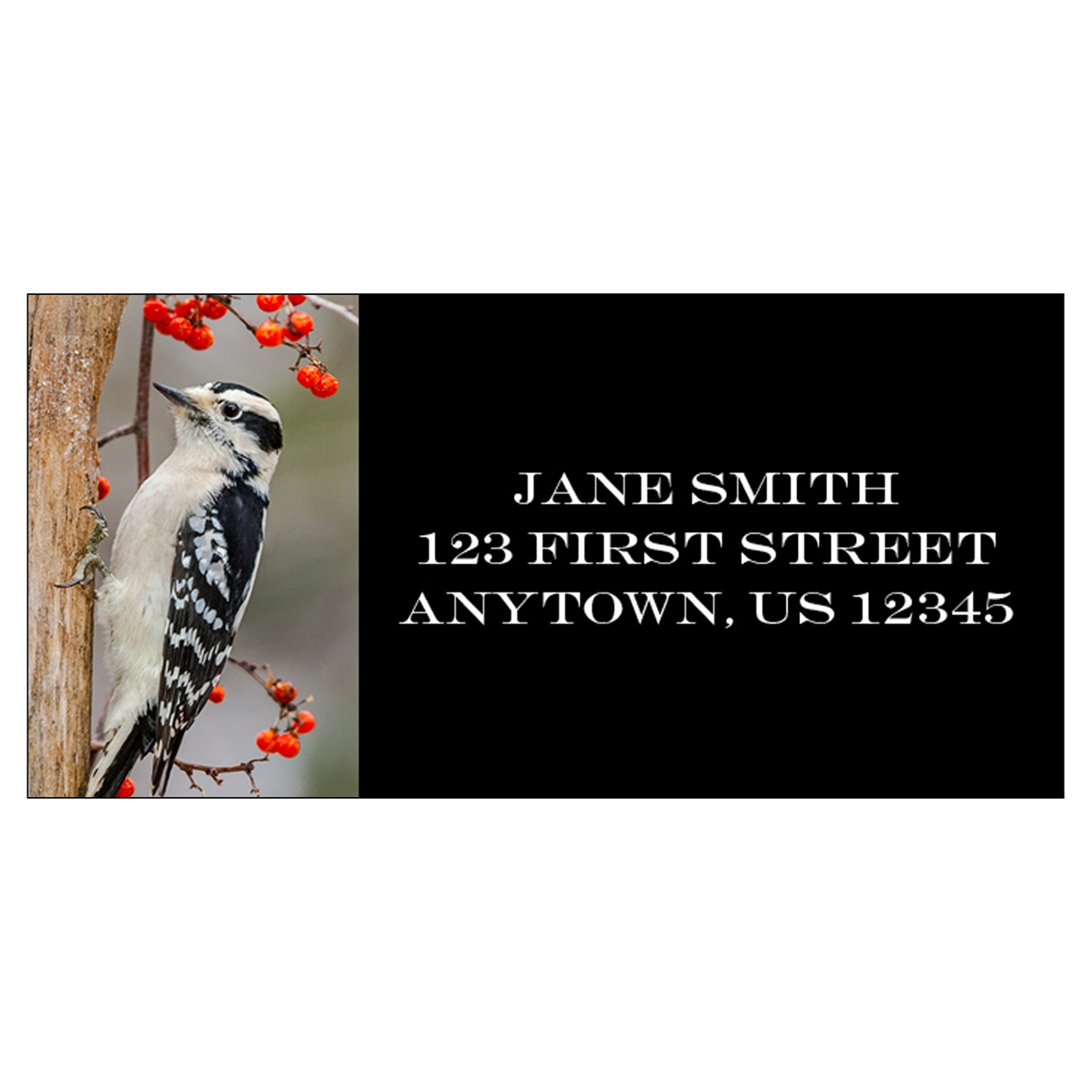 Downy Woodpecker Address Label