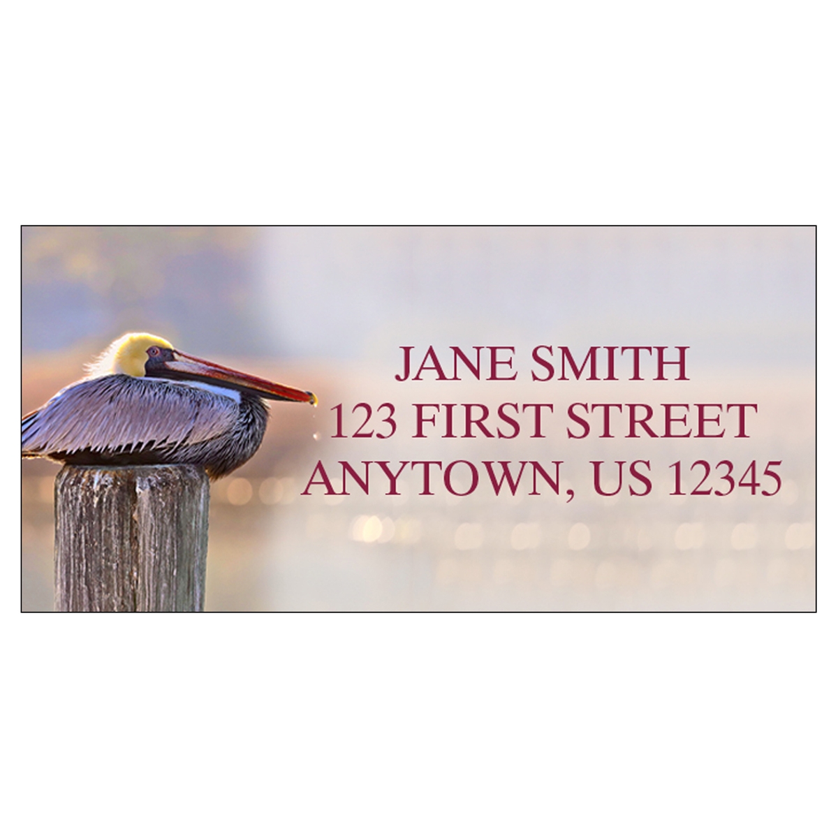 Resting Pelican Address Label