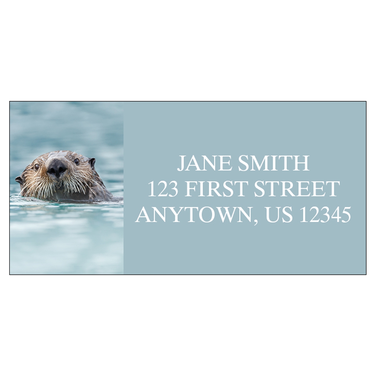 Sea Otter Address Label