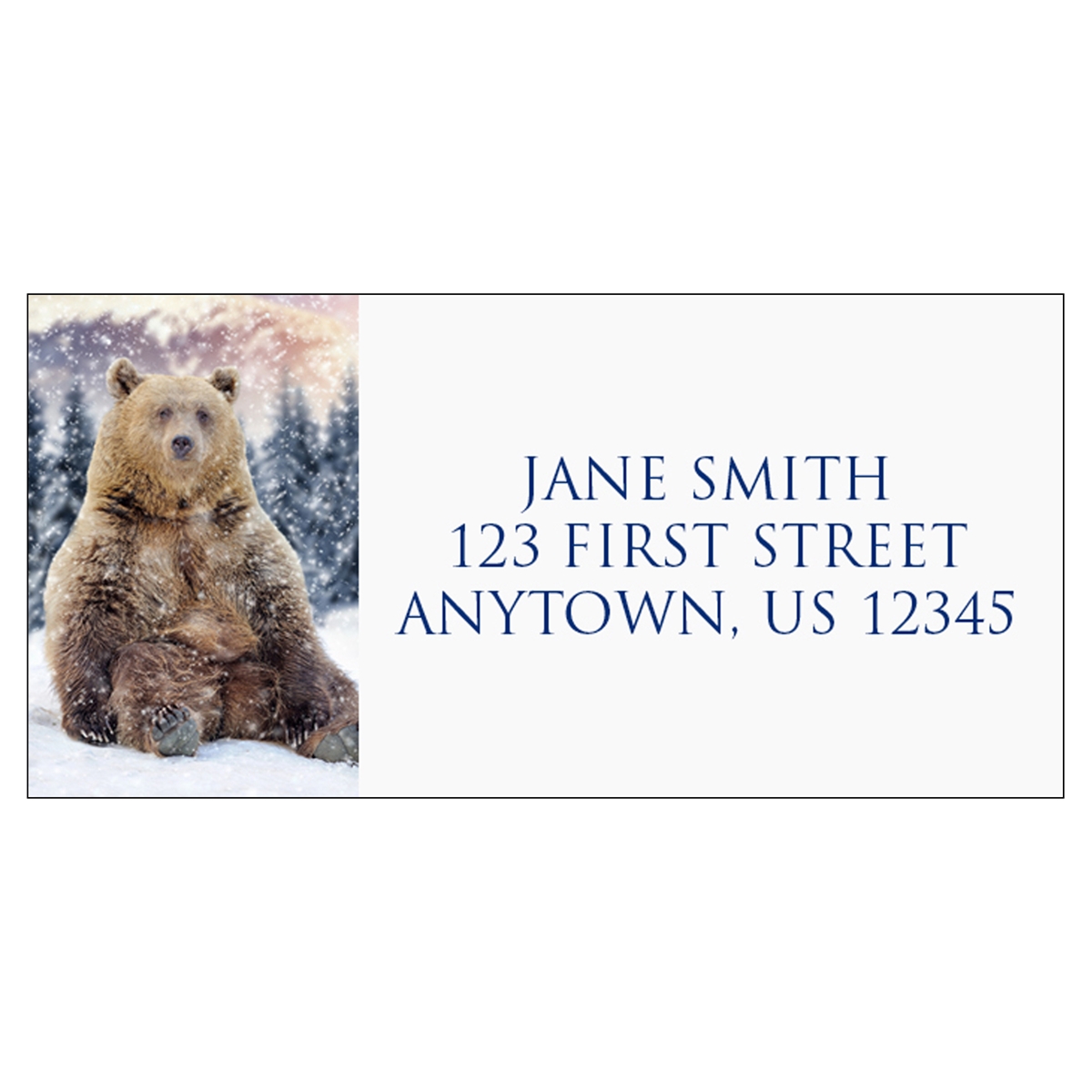 Winter Time Bear Address Label