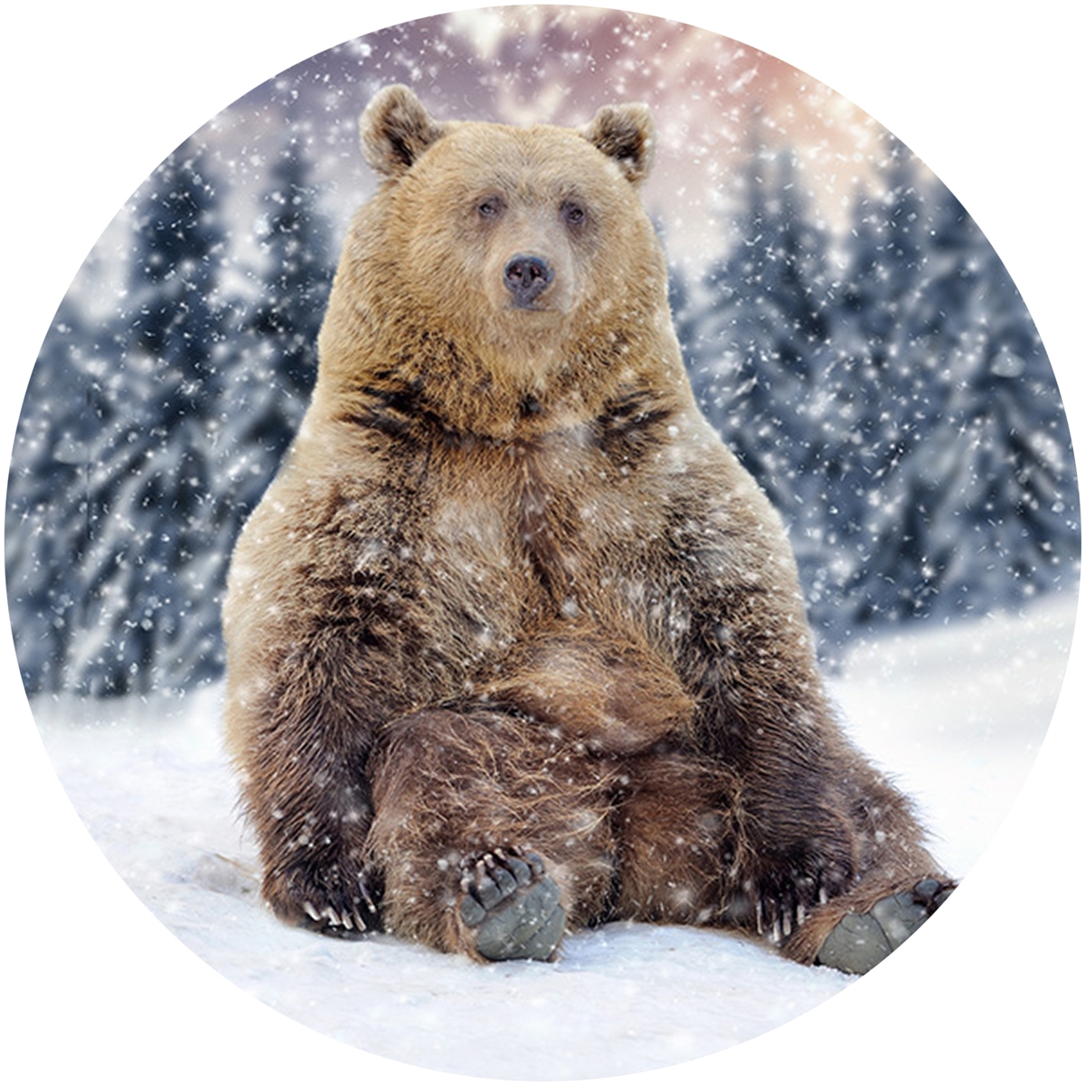 Winter Time Bear Envelope Seal