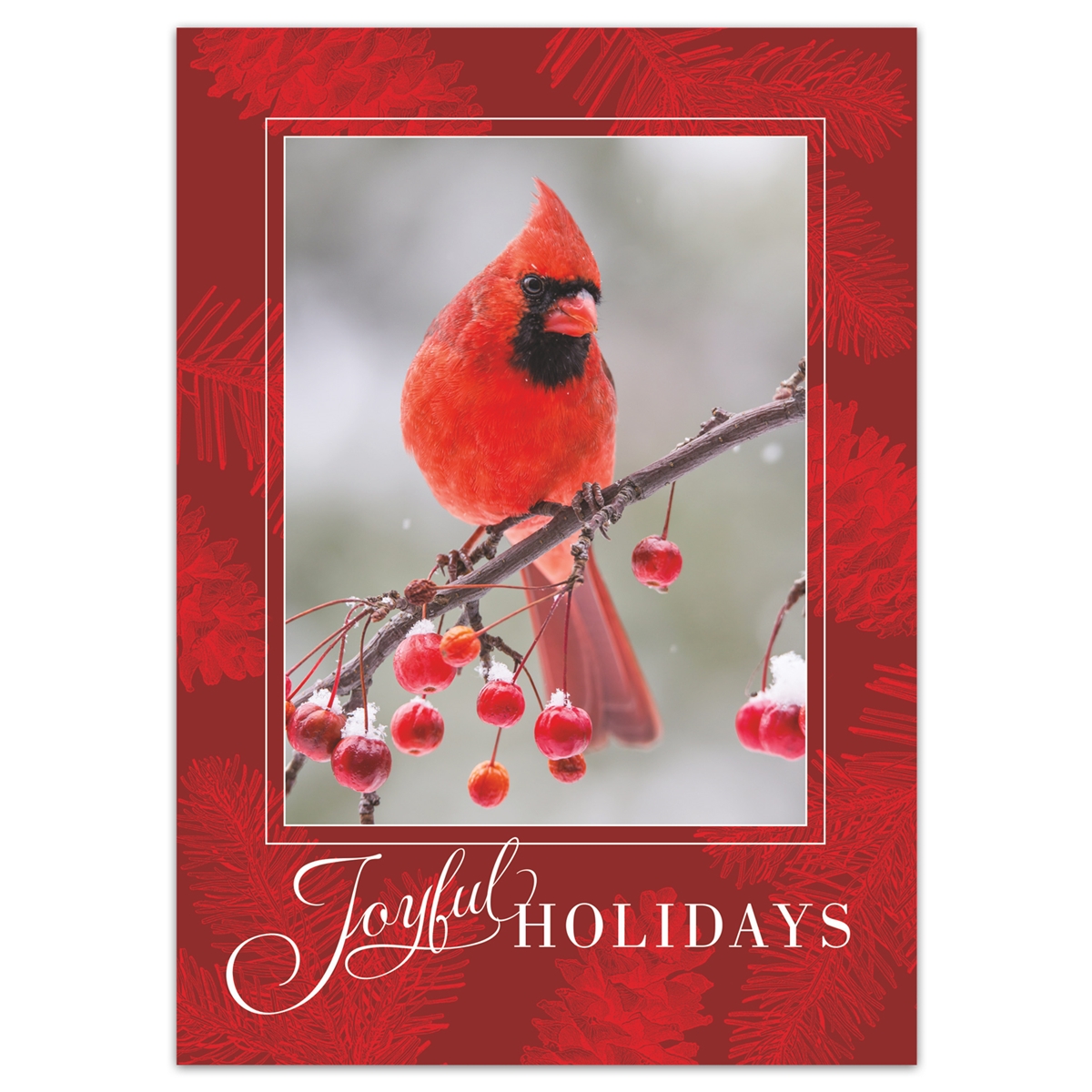 Berry Branch Cardinal Holiday Cards