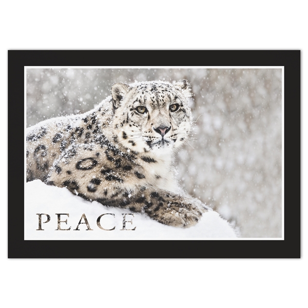 Cards The National Wildlife Federation